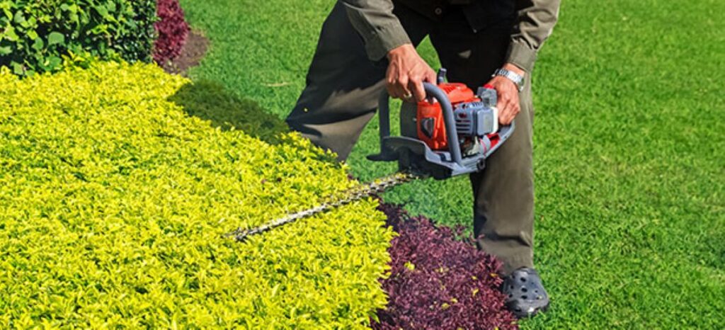 Commercial hedge trimming